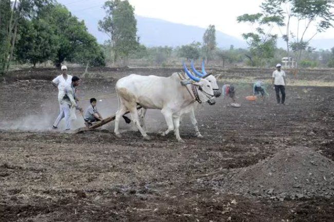 जनादेश 2019-यानी मायावती का समय आ गया है?